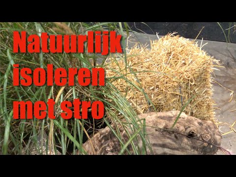 Natuurlijk isoleren met stro - eigenschappen, voordelen en aandachtspunten