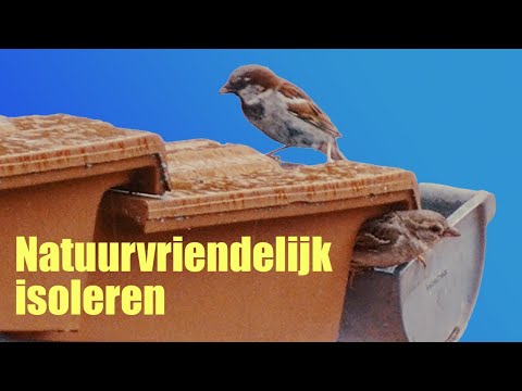 Stappenplan hoe je je huis (legaal) kunt isoleren