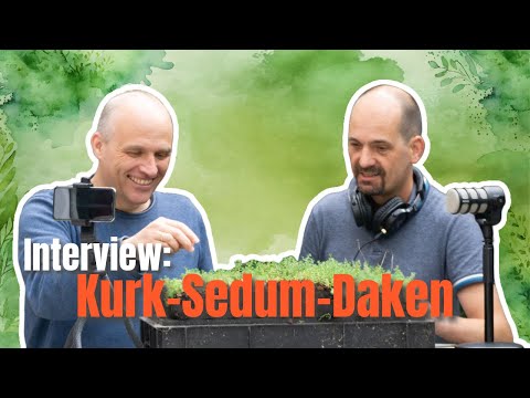 Sedum &amp; Kurk: De perfecte combinatie voor een isolerend groendak?