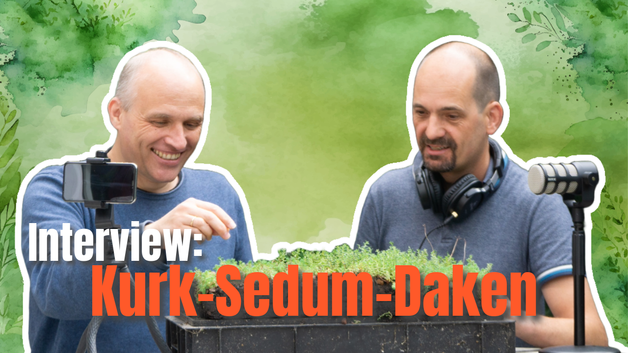 Sedum & Kurk: De perfecte combinatie voor een isolerend groendak?