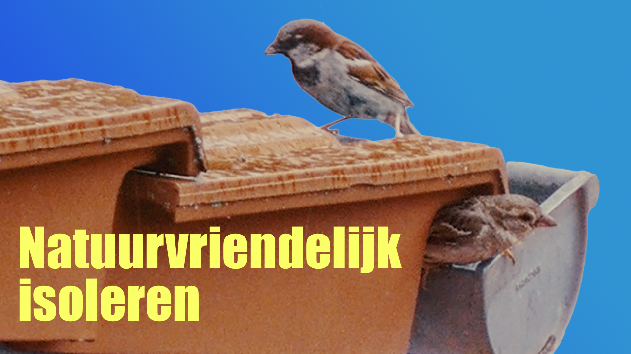 Stappenplan hoe je je huis (legaal) kunt isoleren